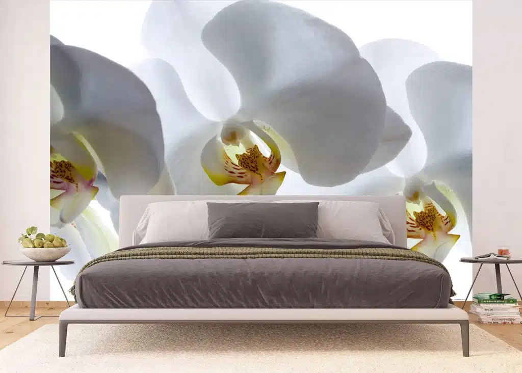 Wall Mural White Orchid, Made to Measure, FTNXXL 0466