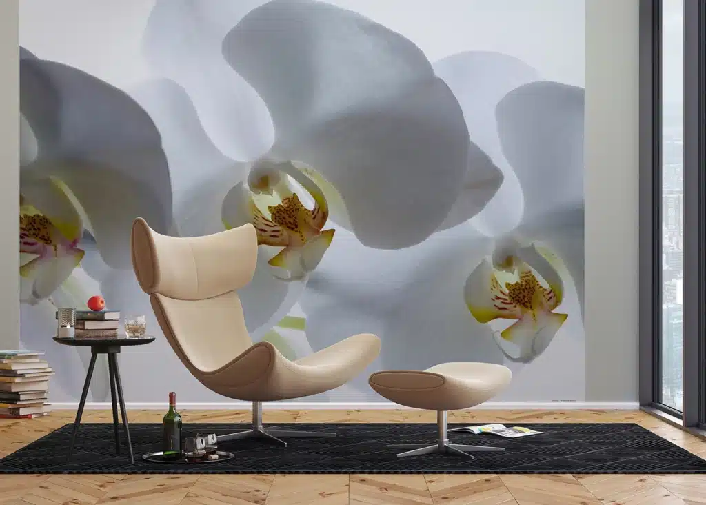 Wall Mural White Orchid, Made to Measure, FTNXXL 0466 2