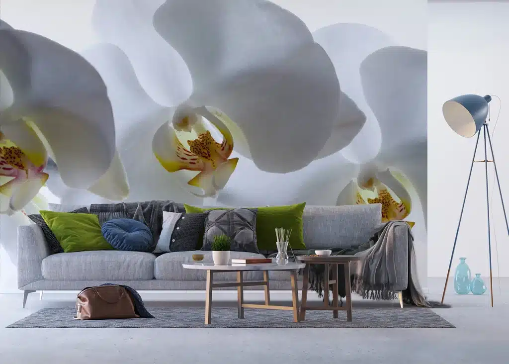 Wall Mural White Orchid, Made to Measure, FTNXXL 0466 4