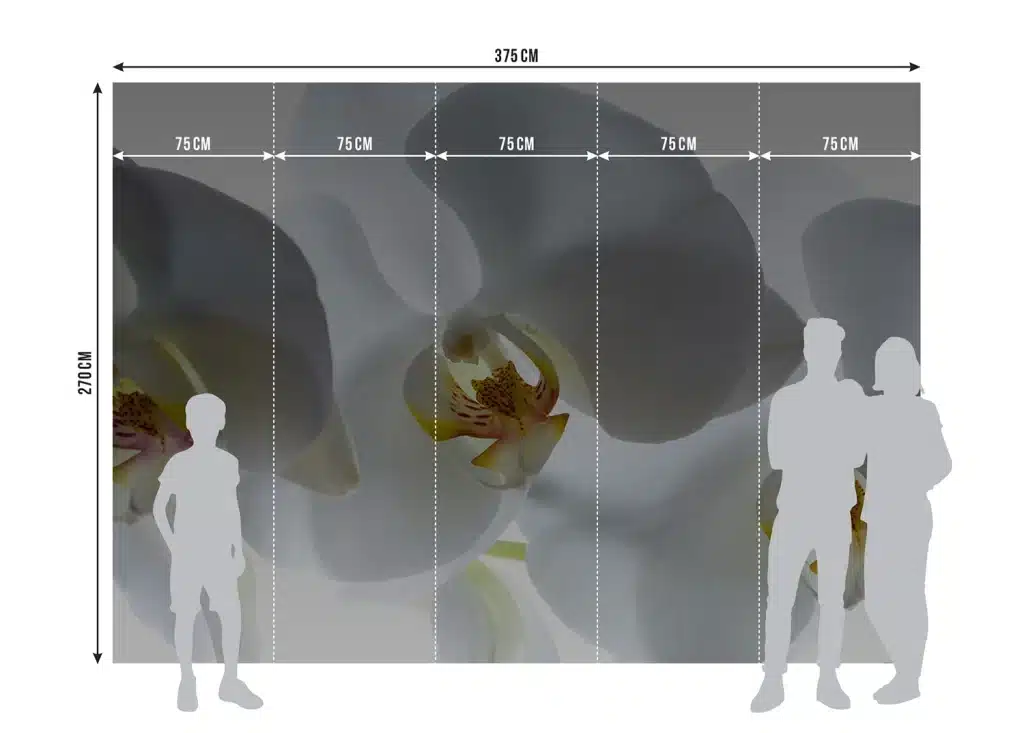 Wall Mural White Orchid, Made to Measure, FTNXXL 0466 8