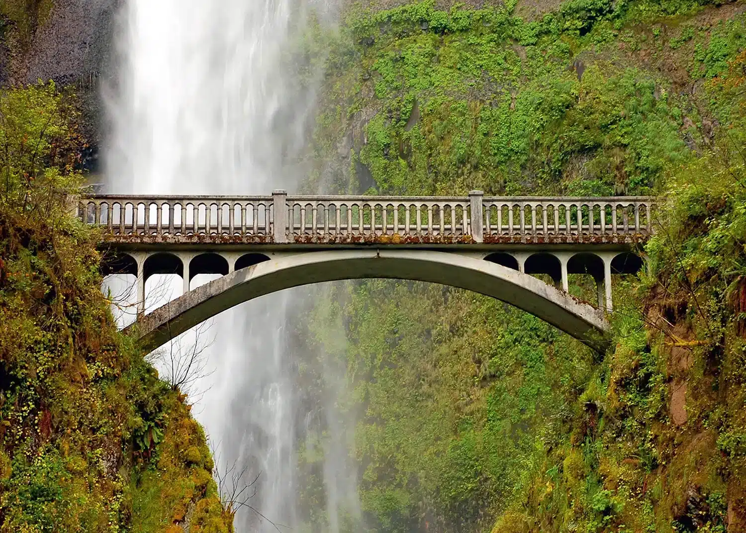Under the Bridge | Made-to-Measure Wallpaper | Artlook | FTNXXL 0476