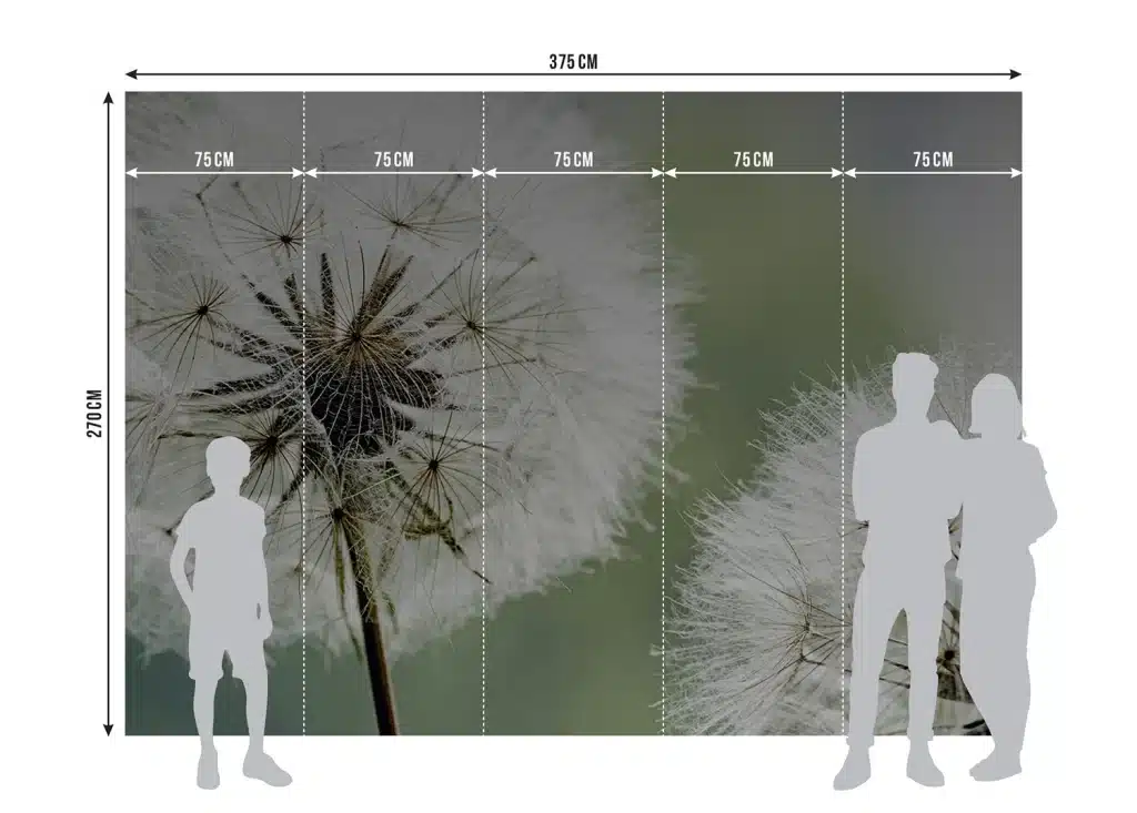 Wall Mural Dandelion, Made to Measure, FTNXXL 0477 8