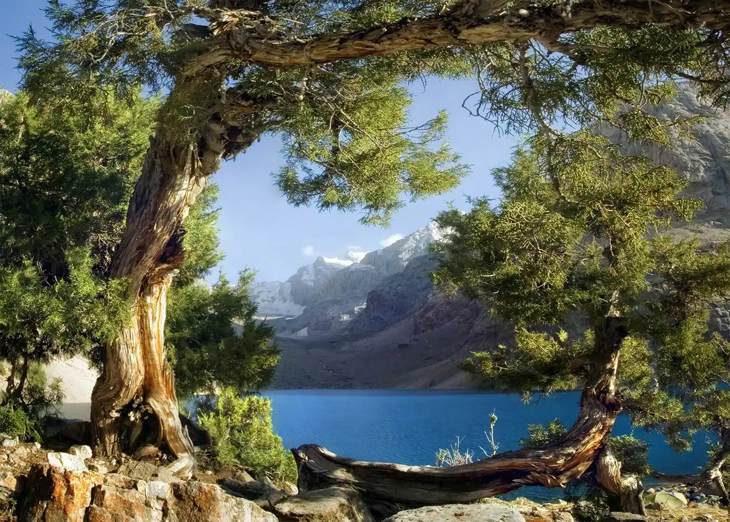 Lake View | Made-to-Measure Wallpaper | Artlook | FTNXXL 1113