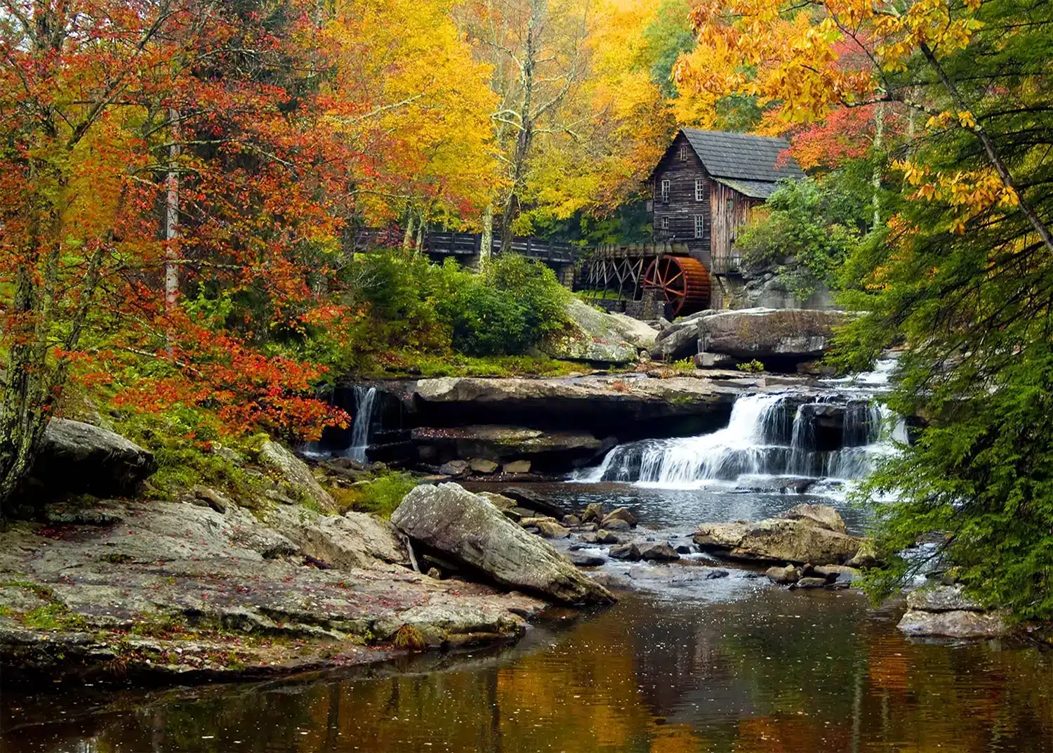 Forest Mill | Made-to-Measure Wallpaper | Artlook | FTNXXL 1116