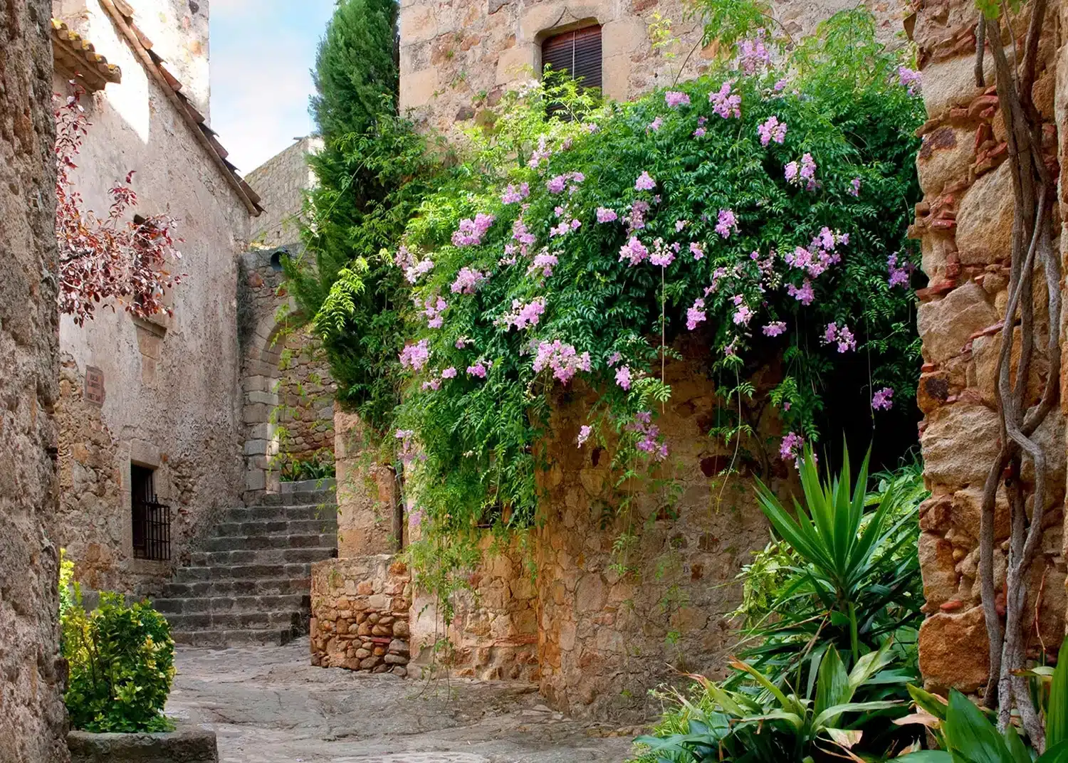 Provence Backyard | Made-to-Measure Wallpaper | Artlook | FTNXXL 1145