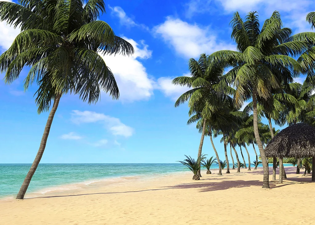 Wall Mural Palm Beach, Made to Measure, FTNXXL 1234