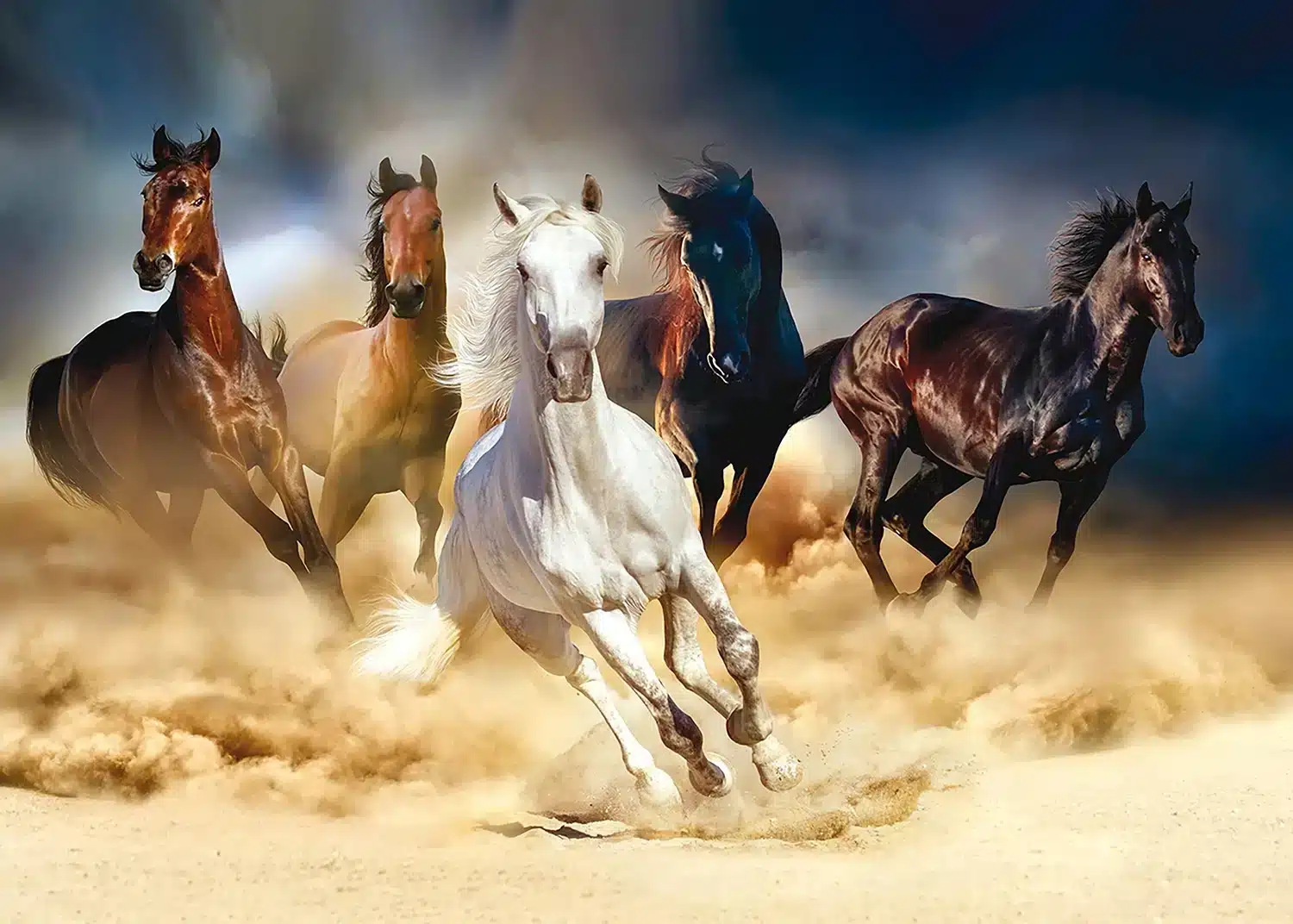 Horses | Made-to-Measure Wallpaper | Artlook | FTNXXL 1239