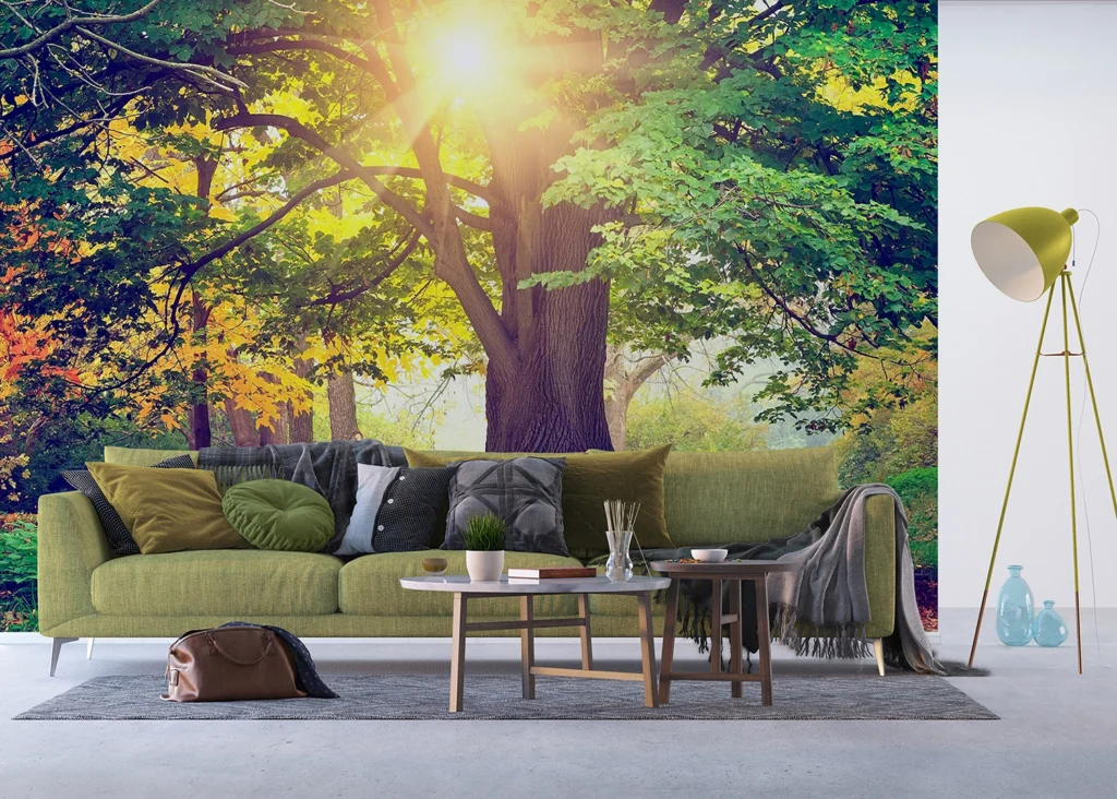 Wall Mural Morning Forest, Made to Measure, FTNXXL 2424 2