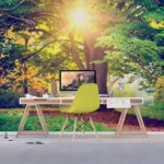 Wall Mural Morning Forest, 375 x 270 cm, FTNXXL 2424