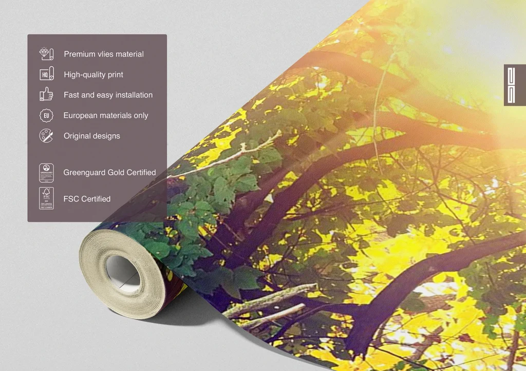 Wall Mural Morning Forest, Made to Measure, FTNXXL 2424 3