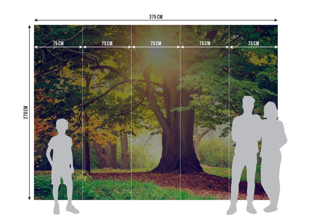 Wall Mural Morning Forest, Made to Measure, FTNXXL 2424 4