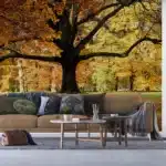 Wall Mural Tree, 375 x 270 cm, FTNXXL 2427