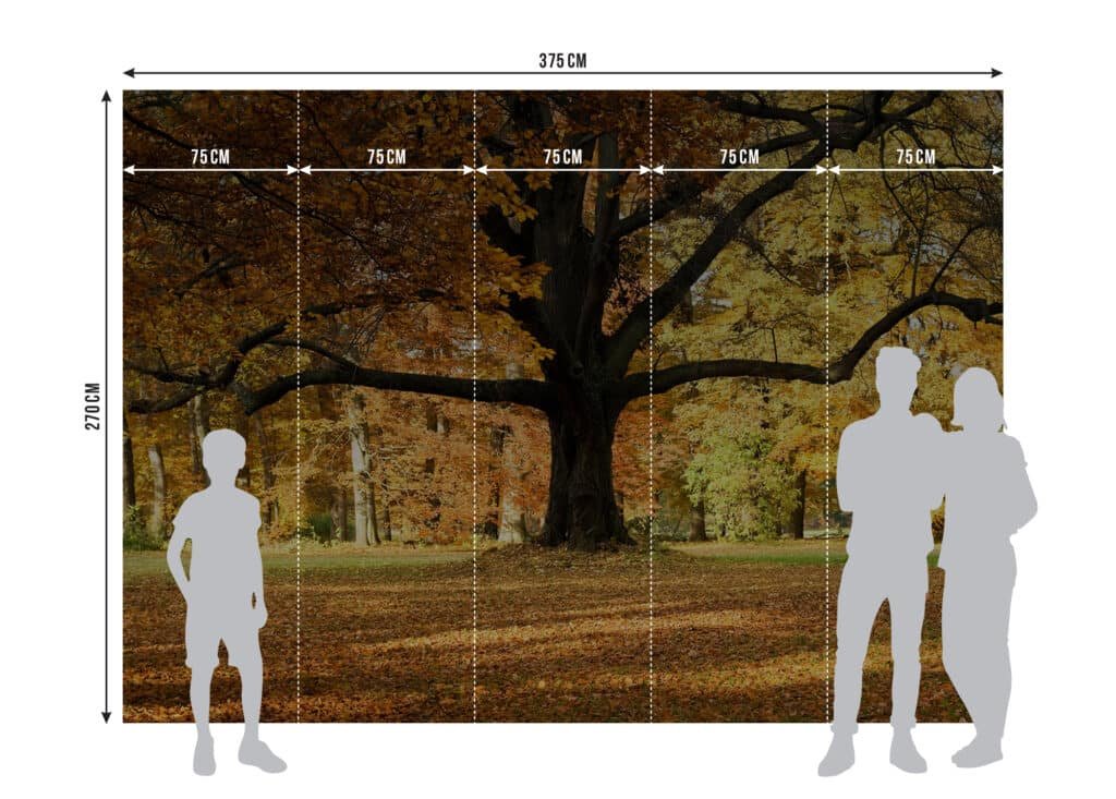 Wall Mural Tree, Made to Measure, FTNXXL 2427 5
