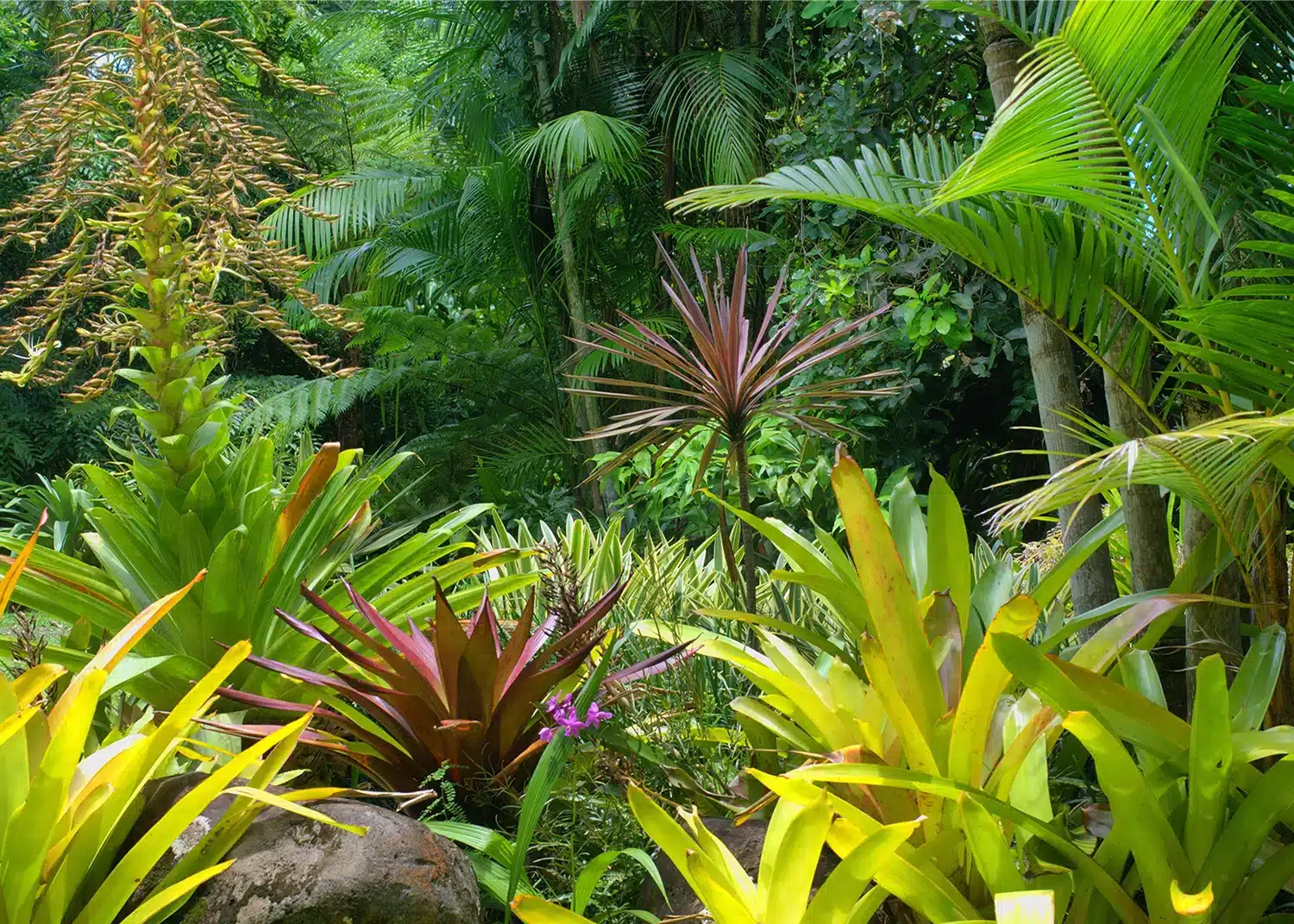 Deep Jungle | Made-to-Measure Wallpaper | Artlook | FTNXXL 2490