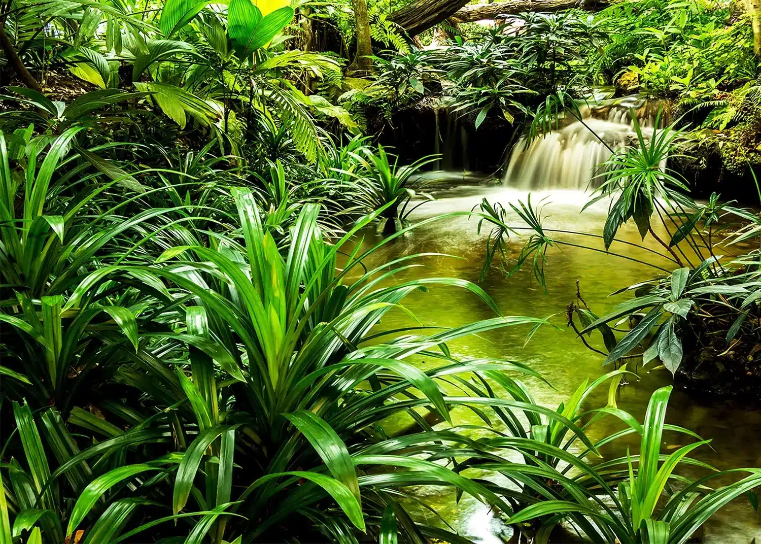 Tropical Lake | Made-to-Measure Wallpaper | Artlook | FTNXXL 2491