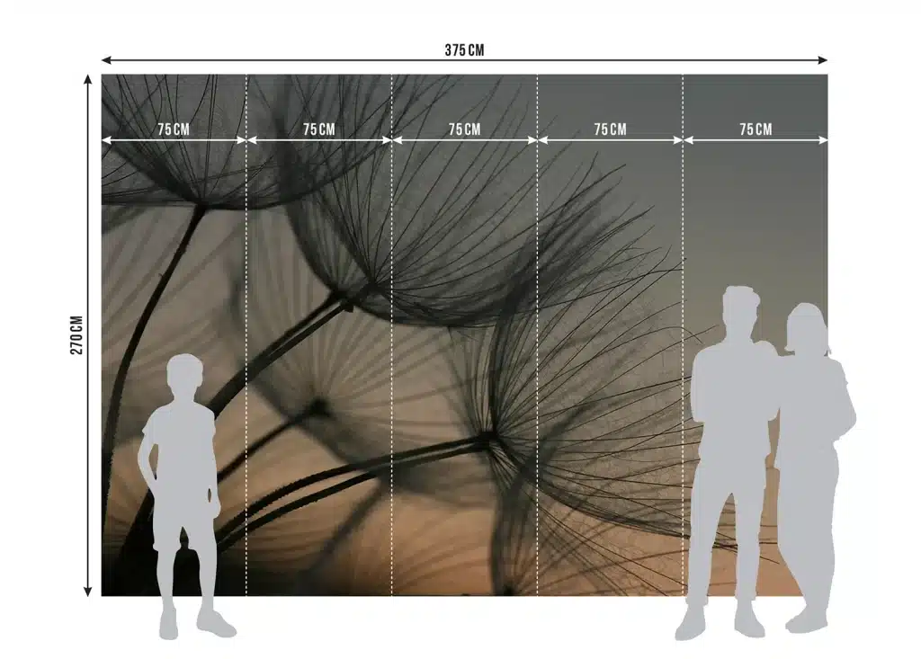 Wall Mural Dandelion Closeup, Made to Measure, FTNXXL 2494 8