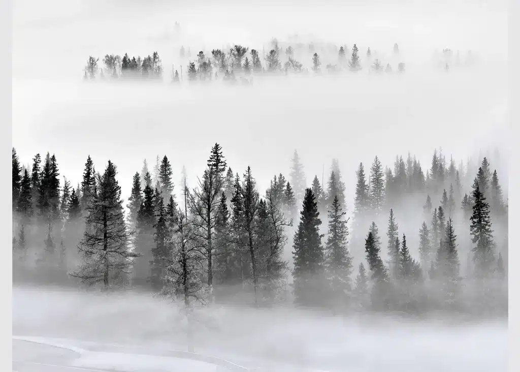 Wall Mural Foggy Morning, Made to Measure, FTNXXL 3008