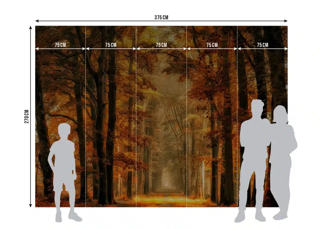 Wall Mural Golden Path, Made to Measure, FTNXXL 3009 8