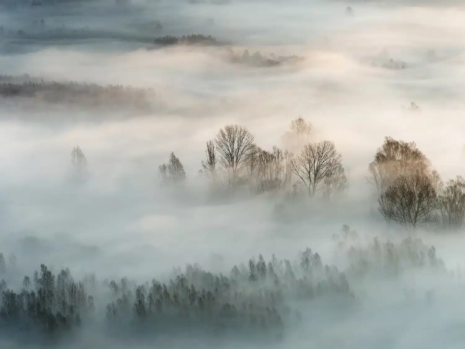 Misty Morning | Made-to-Measure Wallpaper | Artlook | FTNXXL 3010