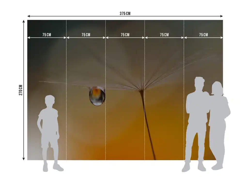 Wall Mural Morning Drop, Made to Measure, FTNXXL 3020 5
