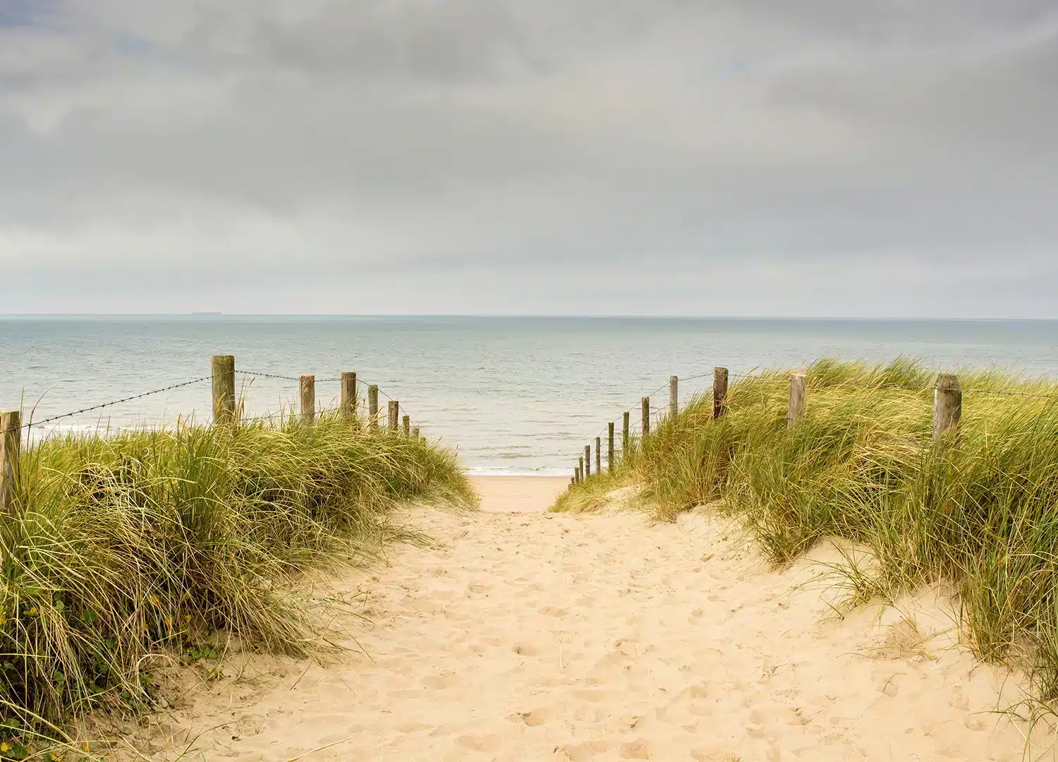 Calming Seascape | Made-to-Measure Wallpaper | Artlook | FT5P 3055