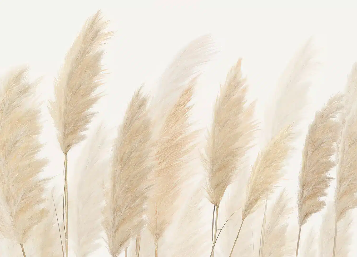 Pampas Field | Made-to-Measure Wallpaper | Artlook | FT5P 3057