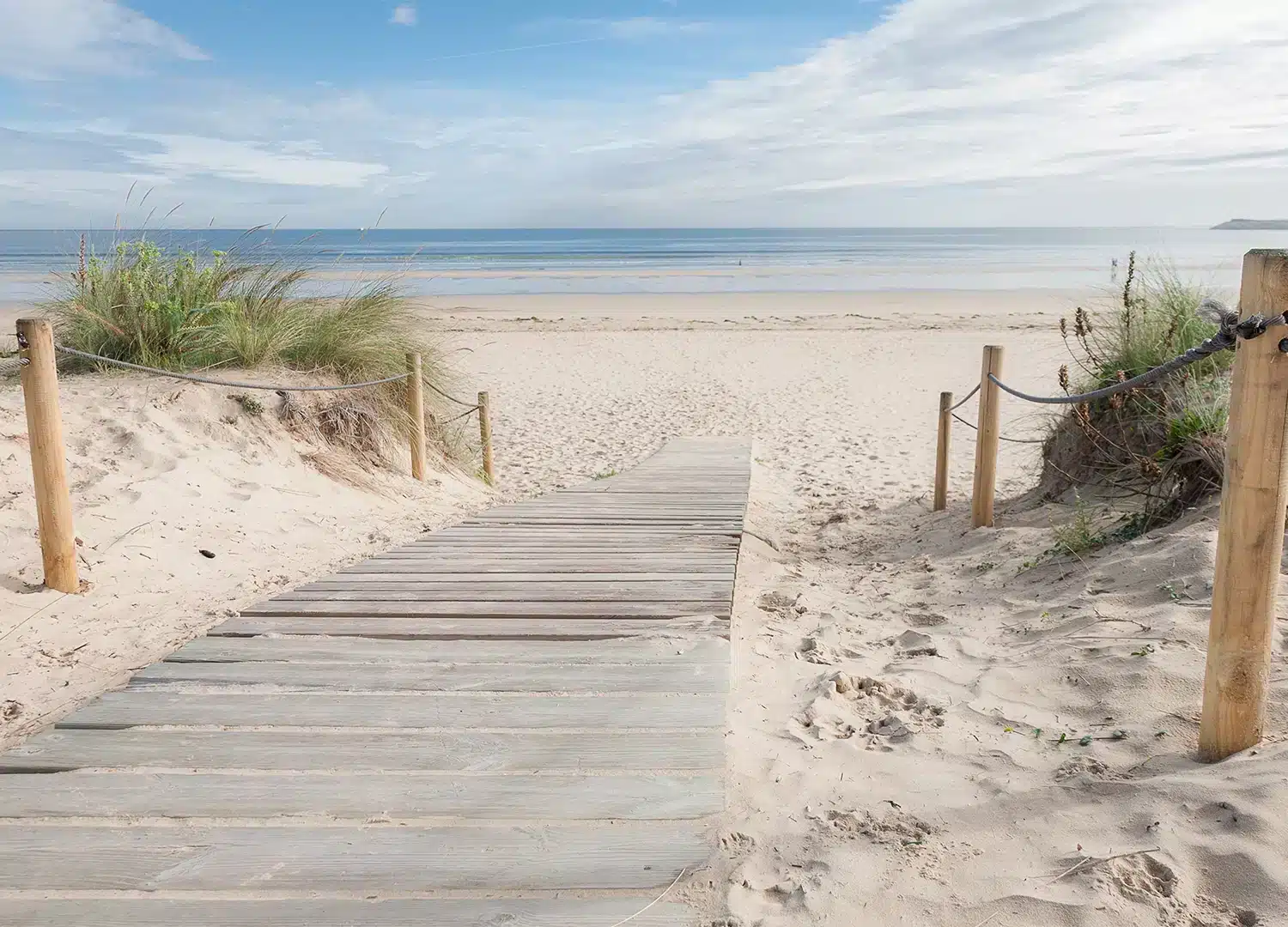 Beach Path | Made-to-Measure Wallpaper | Artlook | FT5P 3059