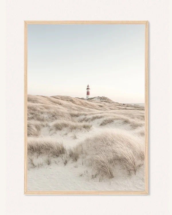 Poster Beach Swings / Beach Dunes, 30 x 42 cm, P 351341