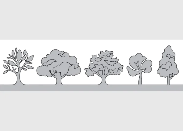 Wall Border Grey Tree Calligraphy | 5 m x 13.8 cm | WB 8279